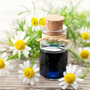 Chamomile Oil